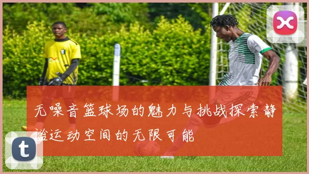 无噪音篮球场的魅力与挑战探索静谧运动空间的无限可能