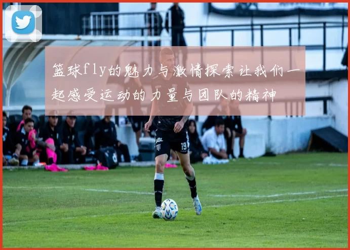 篮球fly的魅力与激情探索让我们一起感受运动的力量与团队的精神