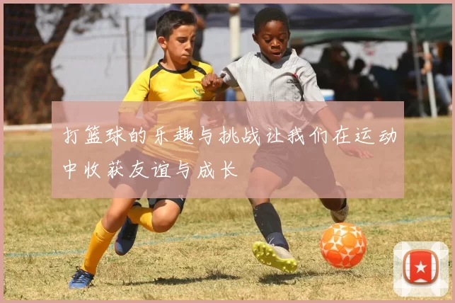 打篮球的乐趣与挑战让我们在运动中收获友谊与成长