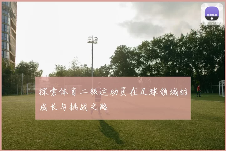 探索体育二级运动员在足球领域的成长与挑战之路